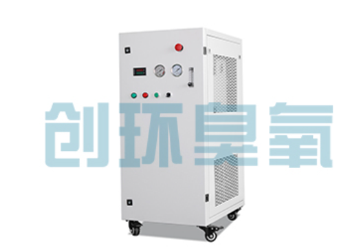 佛山石斑鱼养殖水质调控完整指南：臭氧发生器配置与操作步骤
