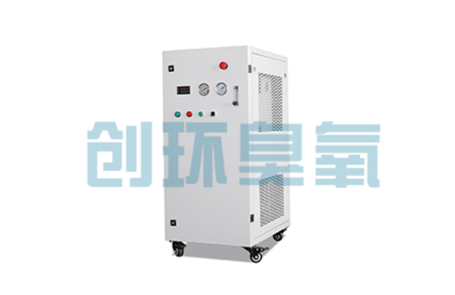 佛山比传统换水更高效？臭氧发生器在石斑鱼养殖中的水质净化原理解析
